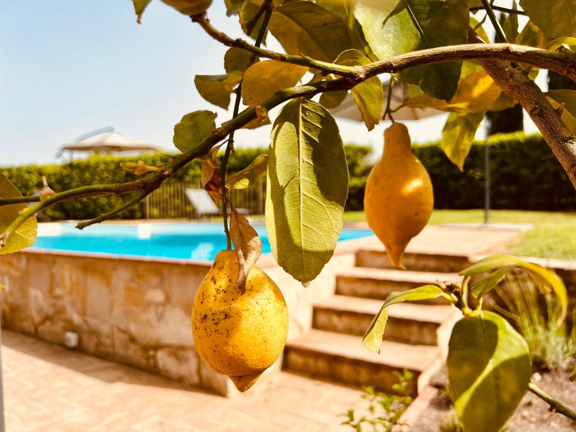 Libertas Tuscan Hideaway San Sano Luaran gambar