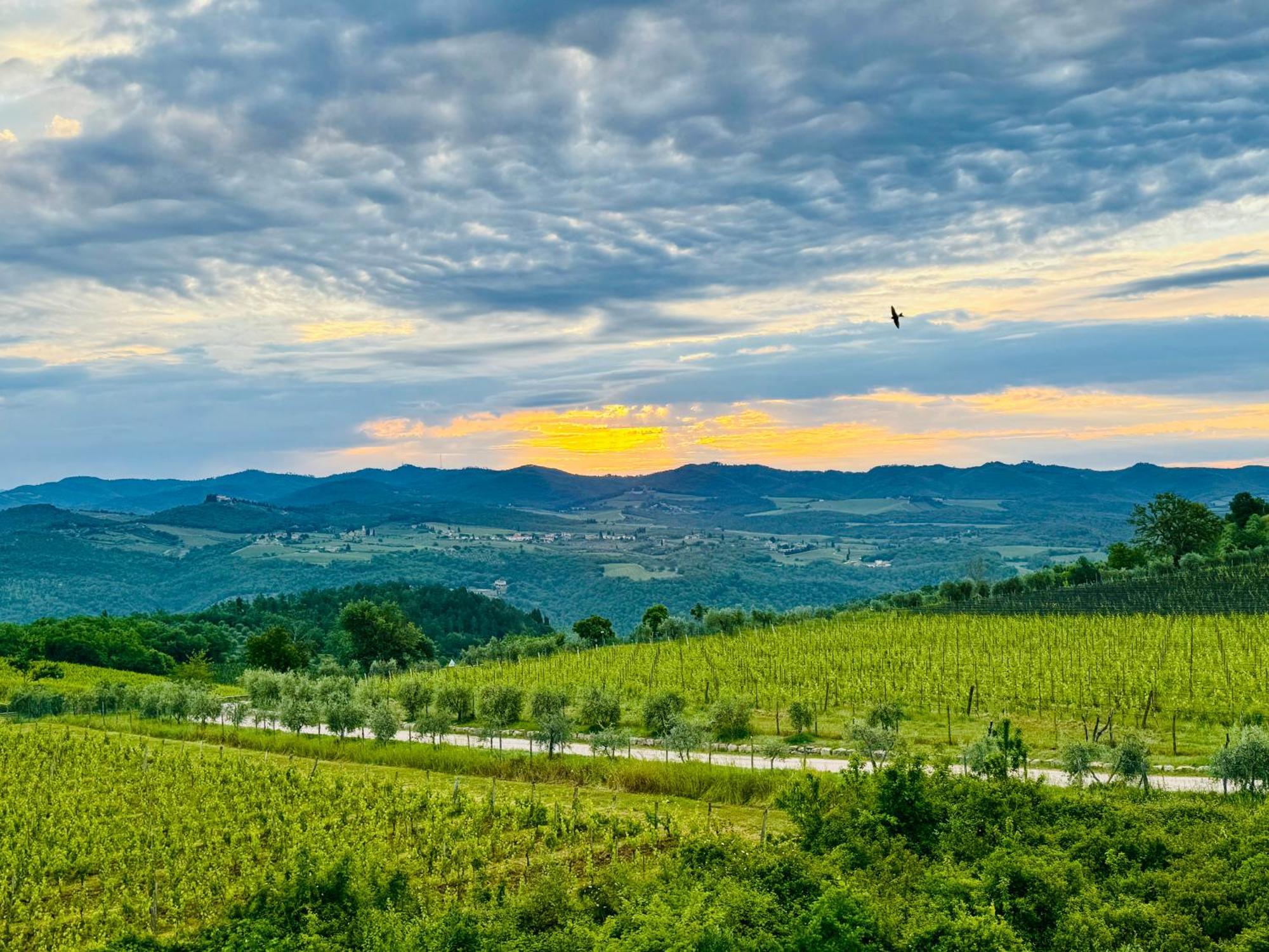 Libertas Tuscan Hideaway San Sano Luaran gambar
